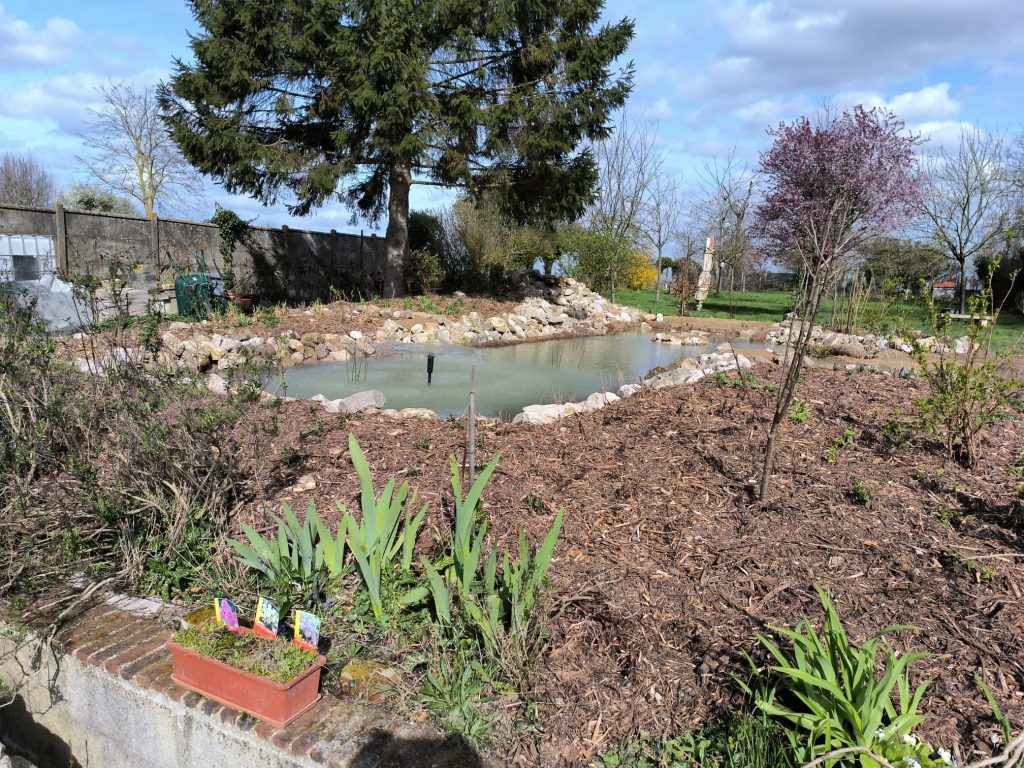 Aménagement paysager bassin-mare - Création paysagère